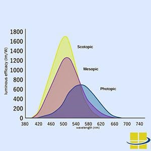 scotopic/photopic ratios