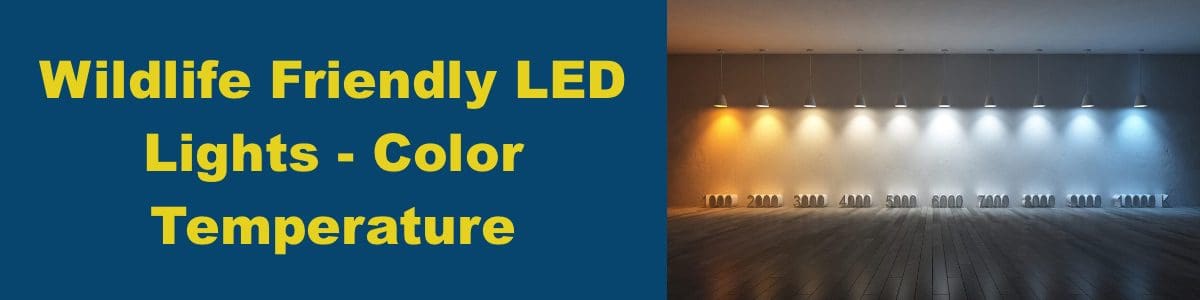 What Color Temperature Are LED Wildlife Lights?
