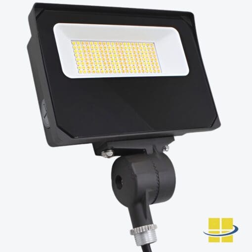 Selectable wattage Flood light