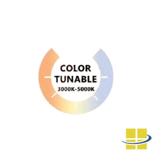 LED Flood Light