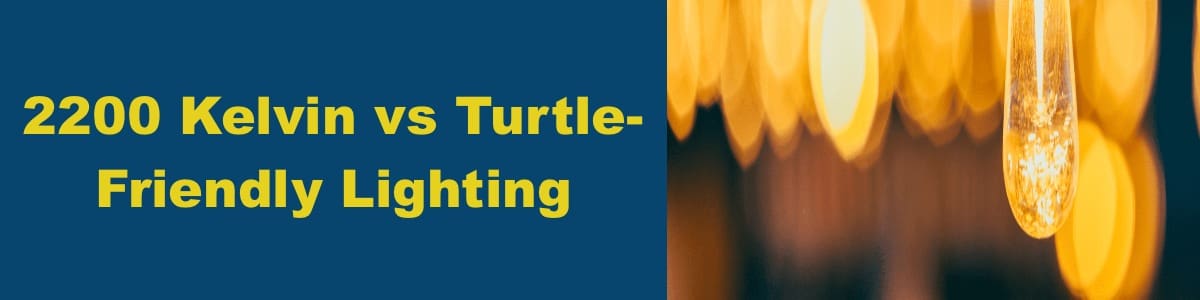 What's The Difference- 2200K vs Turtle Friendly Lighting What's The Difference- 2200K vs Turtle Friendly Lighting